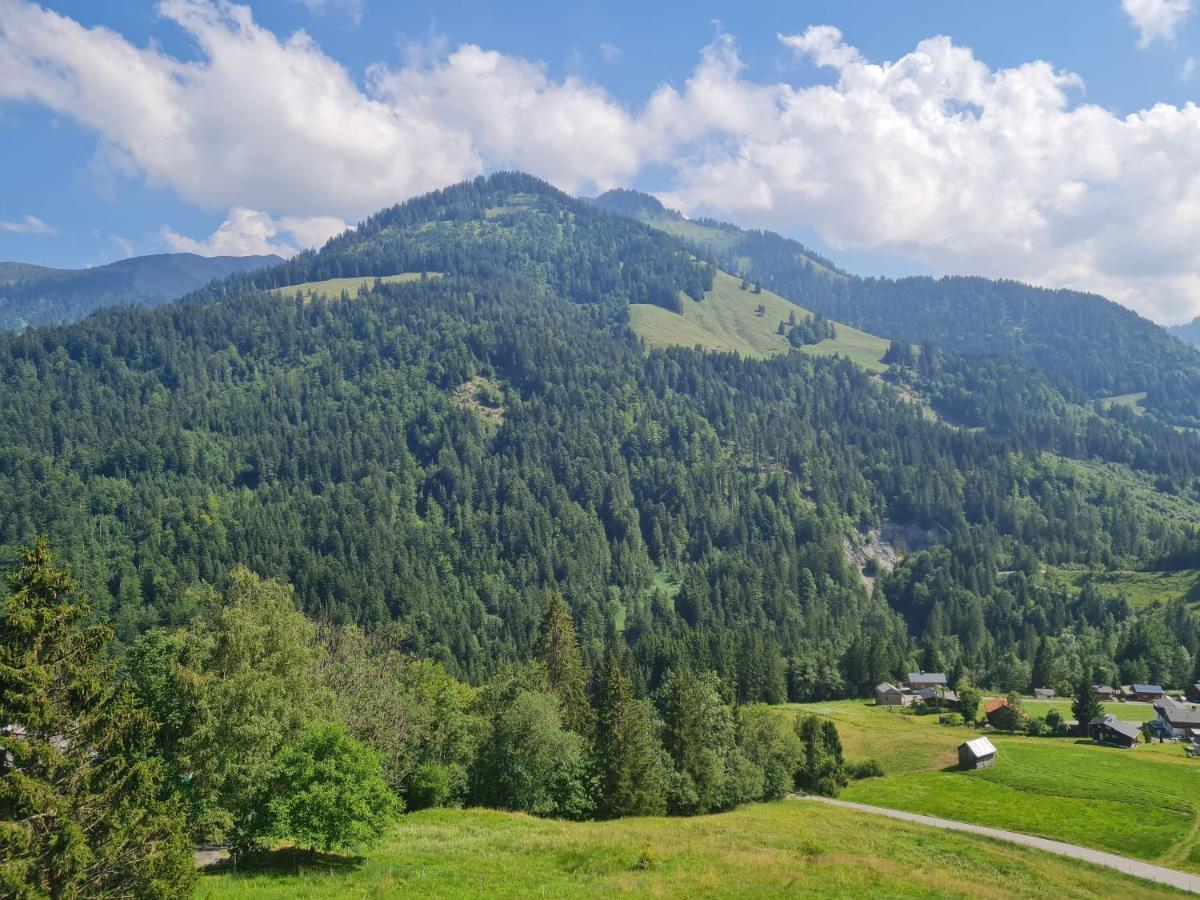 Appartement Melinda Ebnit Dornbirn Buitenkant foto