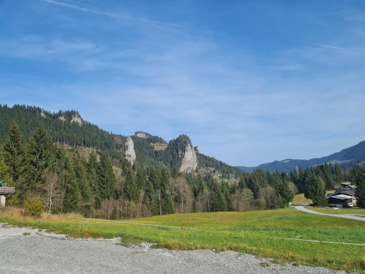 Appartement Melinda Ebnit Dornbirn Buitenkant foto
