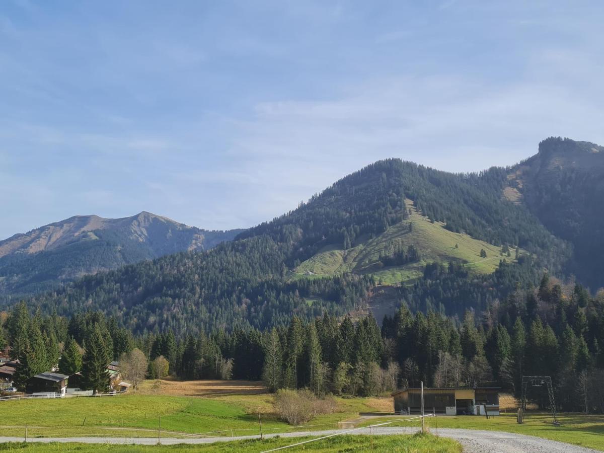 Appartement Melinda Ebnit Dornbirn Buitenkant foto