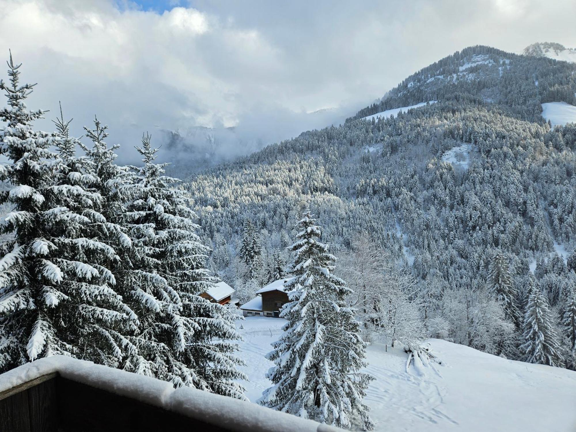 Appartement Melinda Ebnit Dornbirn Buitenkant foto